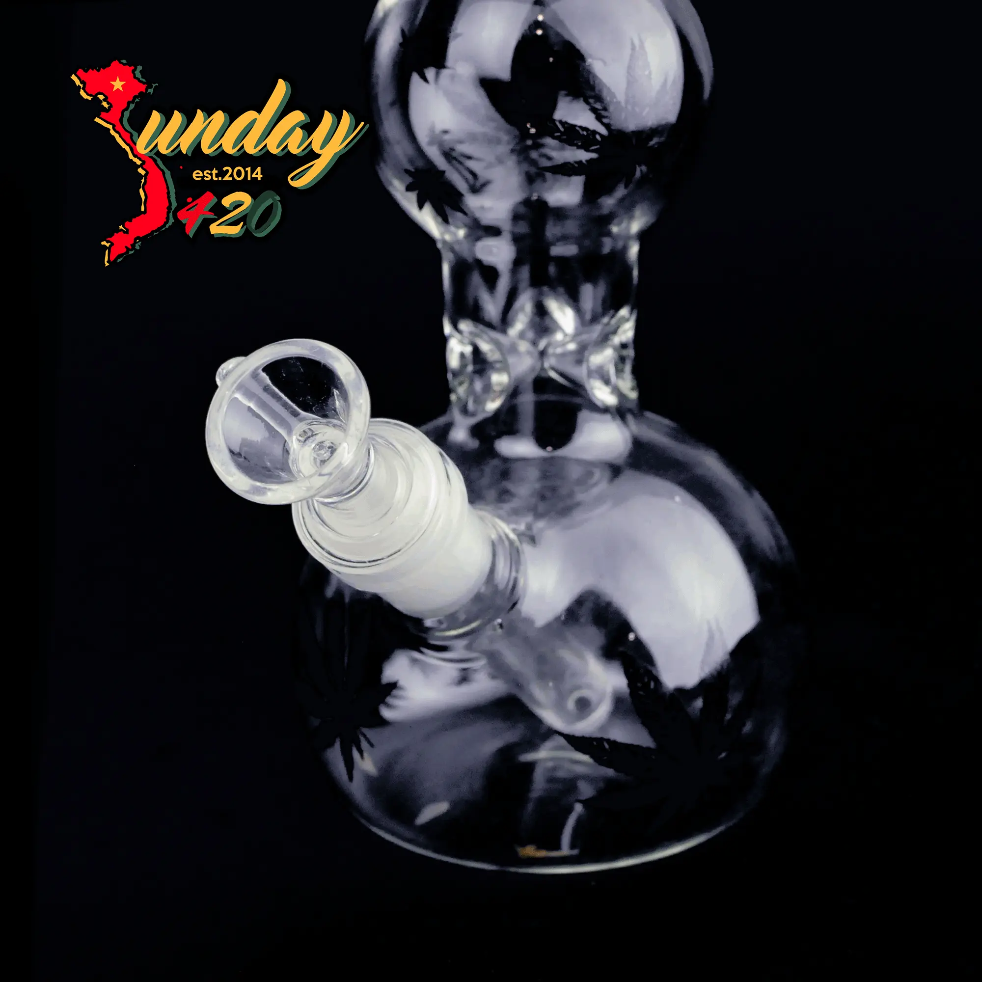 Boong Thủy Tinh Cỏ 5 Lá - BTT-198 - Ảnh 5