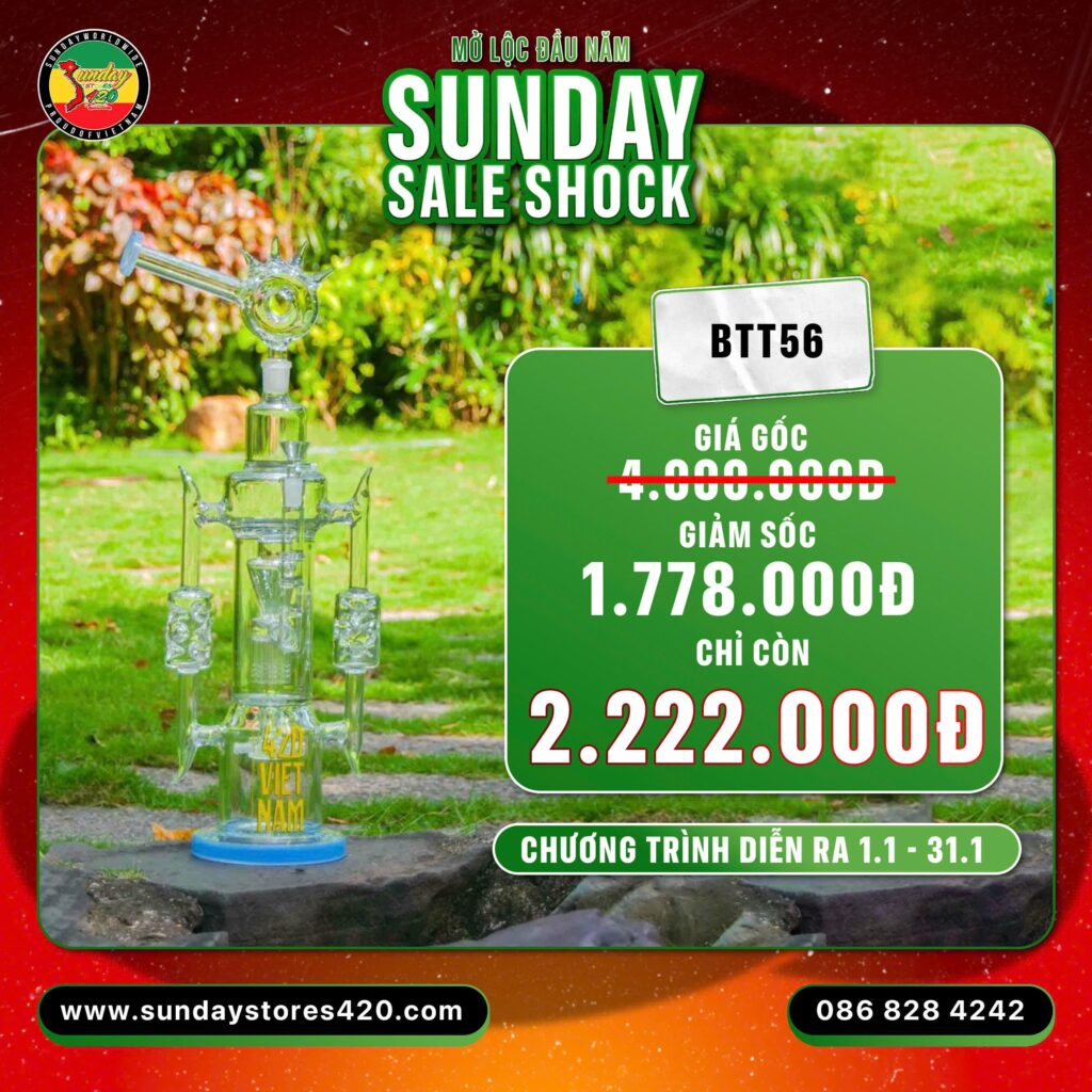 Sunday Stores 420