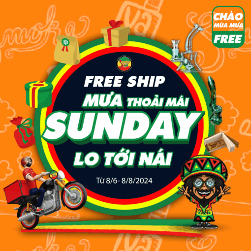 SUNDAY FREESHIP MÙA MƯA
