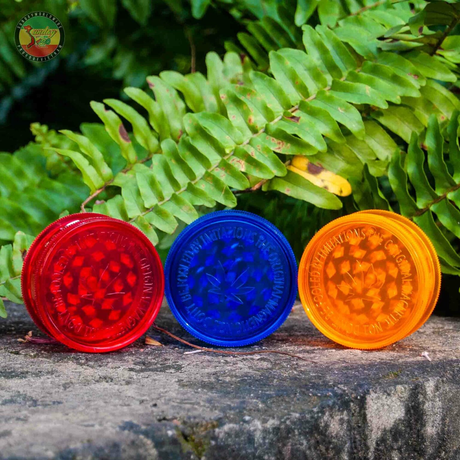 Cối Xay Nhựa Zenith