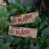 Giấy Cuốn Raw Organic Connoisseur 1 14 & Filters Tips