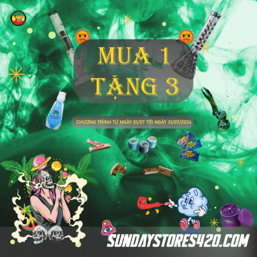 MUA 1 TẶNG 3