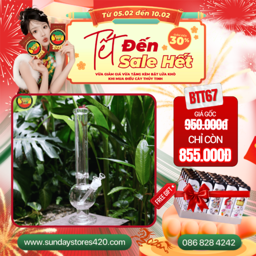Điếu Cày Thủy Tinh Ventapane - BTT67