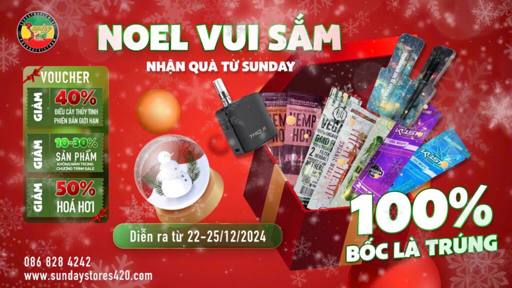 Sunday Stores 420