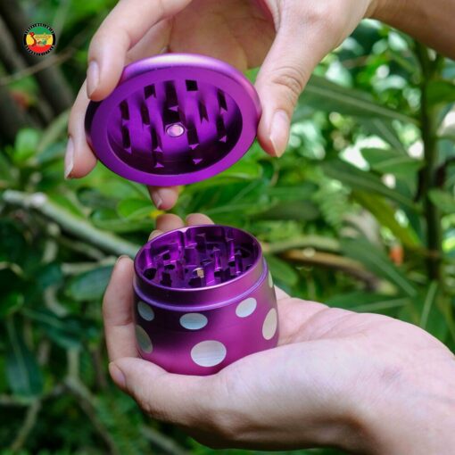 Cối Xay Mini Mushroom - XS191