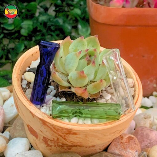 Tip Đầu Lọc Thủy Tinh Lớn - GLT02