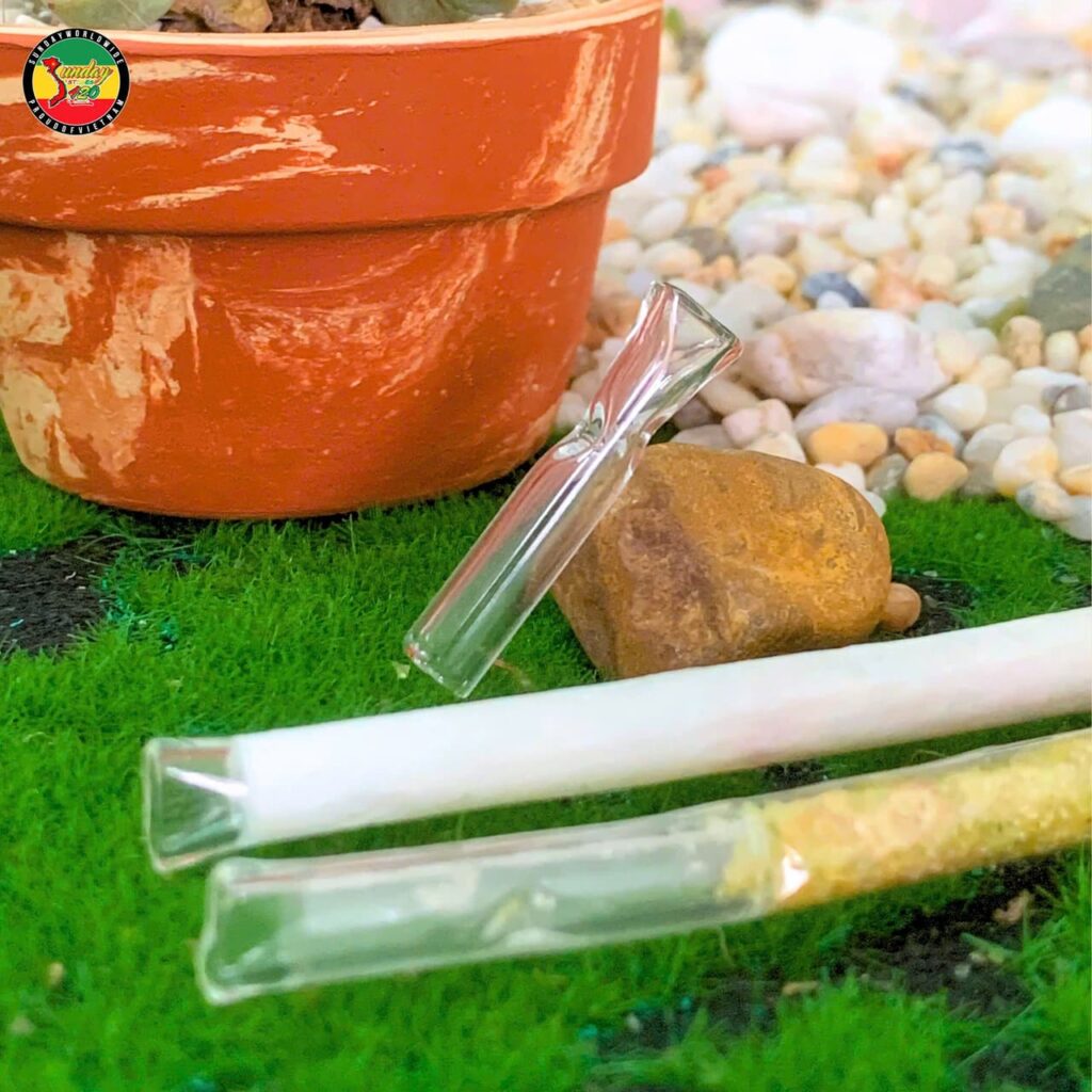 Tip Đầu Lọc Thủy Tinh Nhỏ - GLT01