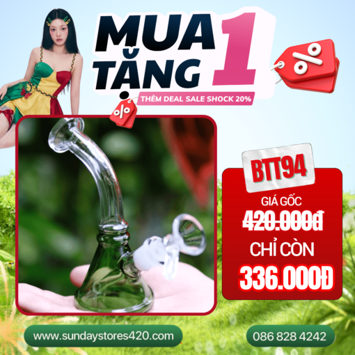 Lilium Candidum - BTT94