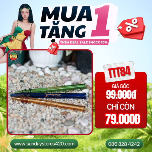 Tẩu Bút Chì - TTT84