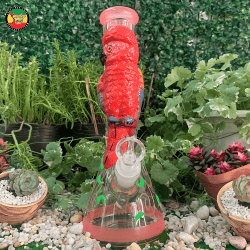 Điếu Cày Thủy Tinh Red Parrot - BTT661