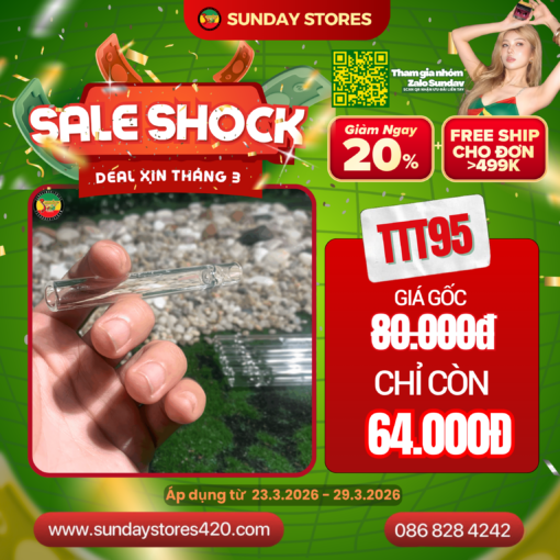 Tẩu Thủy Tinh Ống Thẳng Sunday - TTT95