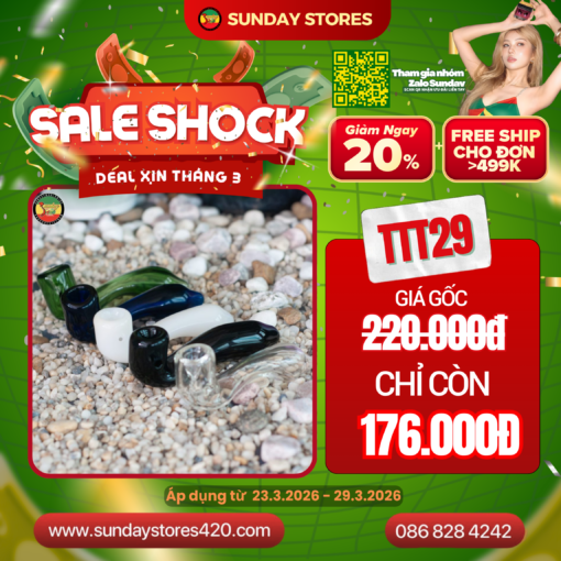 Tẩu Thủy Tinh Sherlock - TTT29