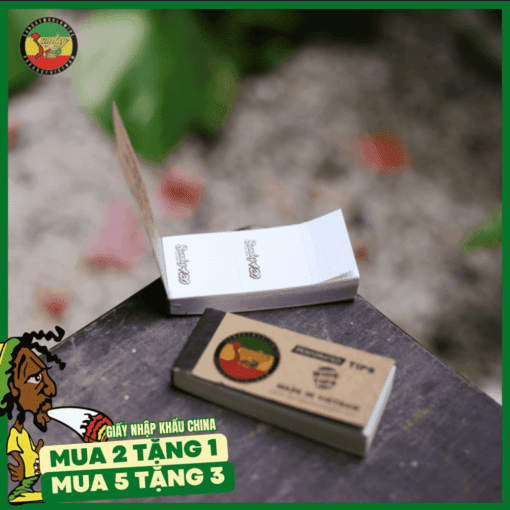 Tips Lọc Sunday Slim - TO08