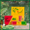 Giấy Cuốn Lion Of Judah - GC101