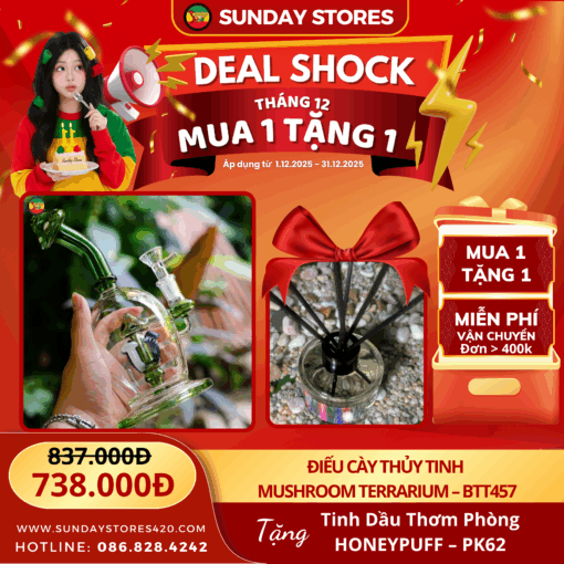 Mushroom Terrarium - BTT457