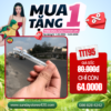 Tẩu Thủy Tinh Ống Thẳng Sunday - TTT95
