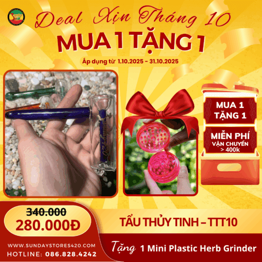 Tẩu Thủy Tinh Lọc Nước Chữ V - TTT10