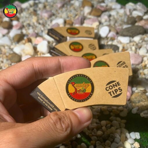 Tips Lọc Sunday Hình Nón - TO09