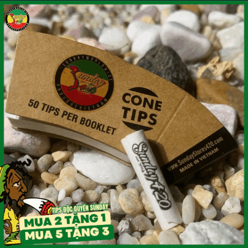 Tips Lọc Sunday Hình Nón - TO09