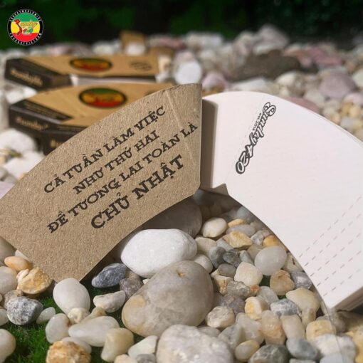 Tips Lọc Sunday Hình Nón - TO09