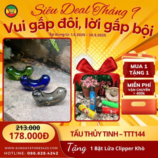 Tẩu Thủy Tinh Pablo - TTT144