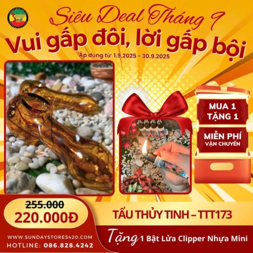 Tẩu Thủy Tinh Amber - TTT173