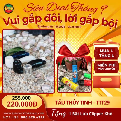 Tẩu Thủy Tinh Sherlock - TTT29