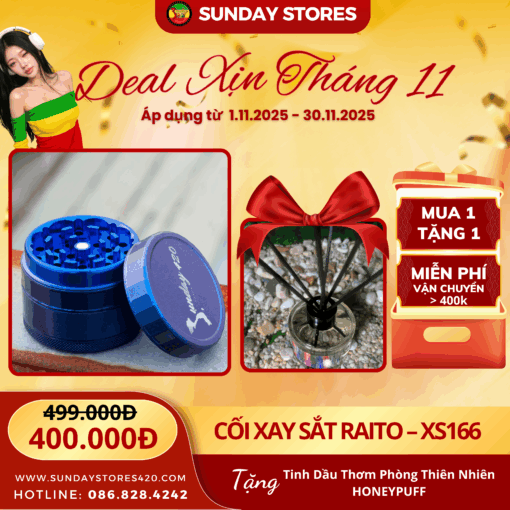 Cối Xay Sắt Raito - XS166