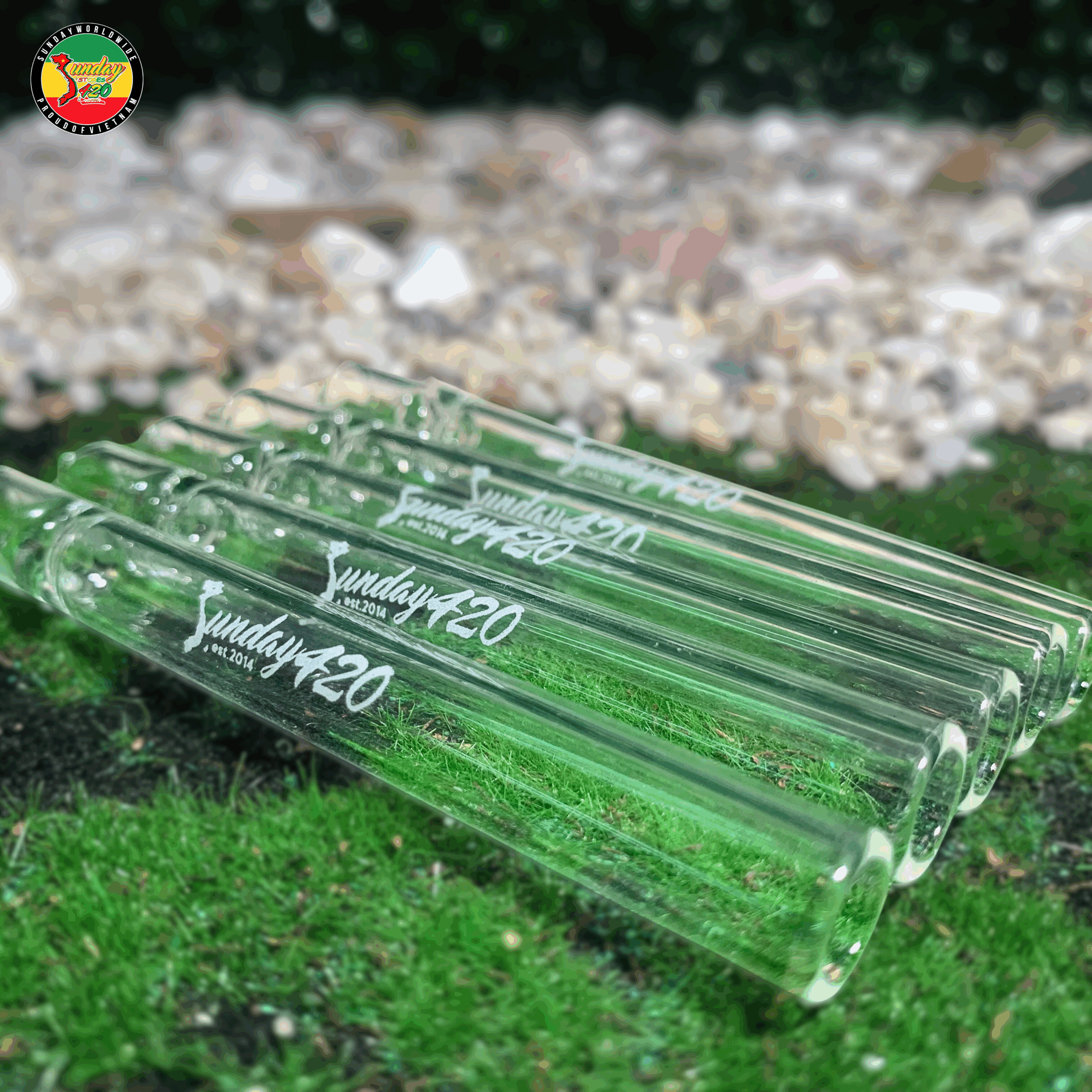 Tẩu Thủy Tinh Ống Thẳng Sunday - TTT95 - Ảnh 4