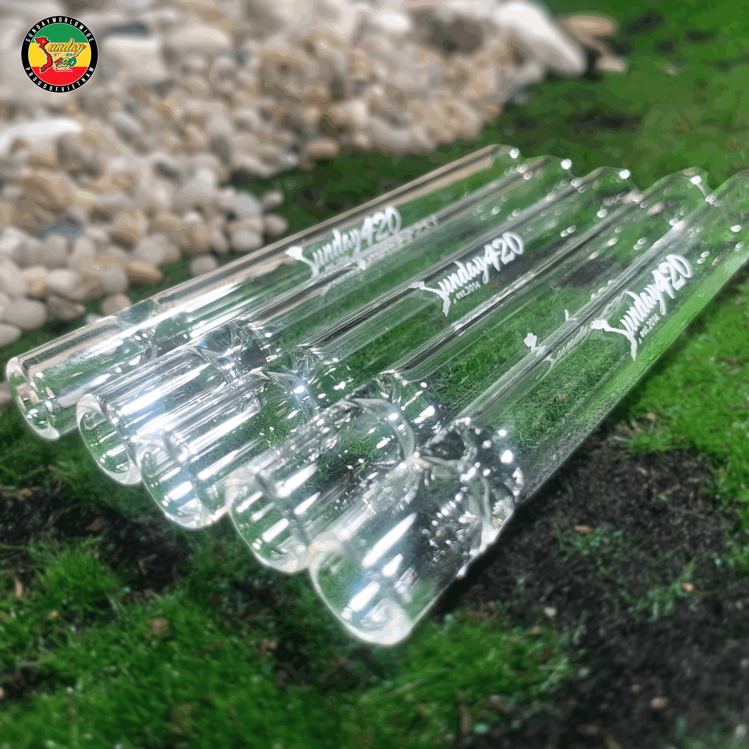 Tẩu Thủy Tinh Ống Thẳng Sunday - TTT95