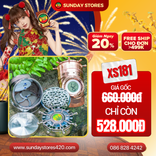 Cối Xay Thuyền Trưởng - XS181