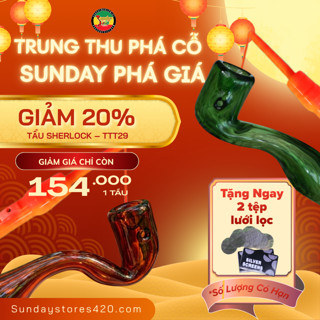 241 - Combo Rước Trăng Đêm Trung Thu 2026: Trọn Bộ Phụ Kiện Cực Hot Từ 153K | Sunday Stores