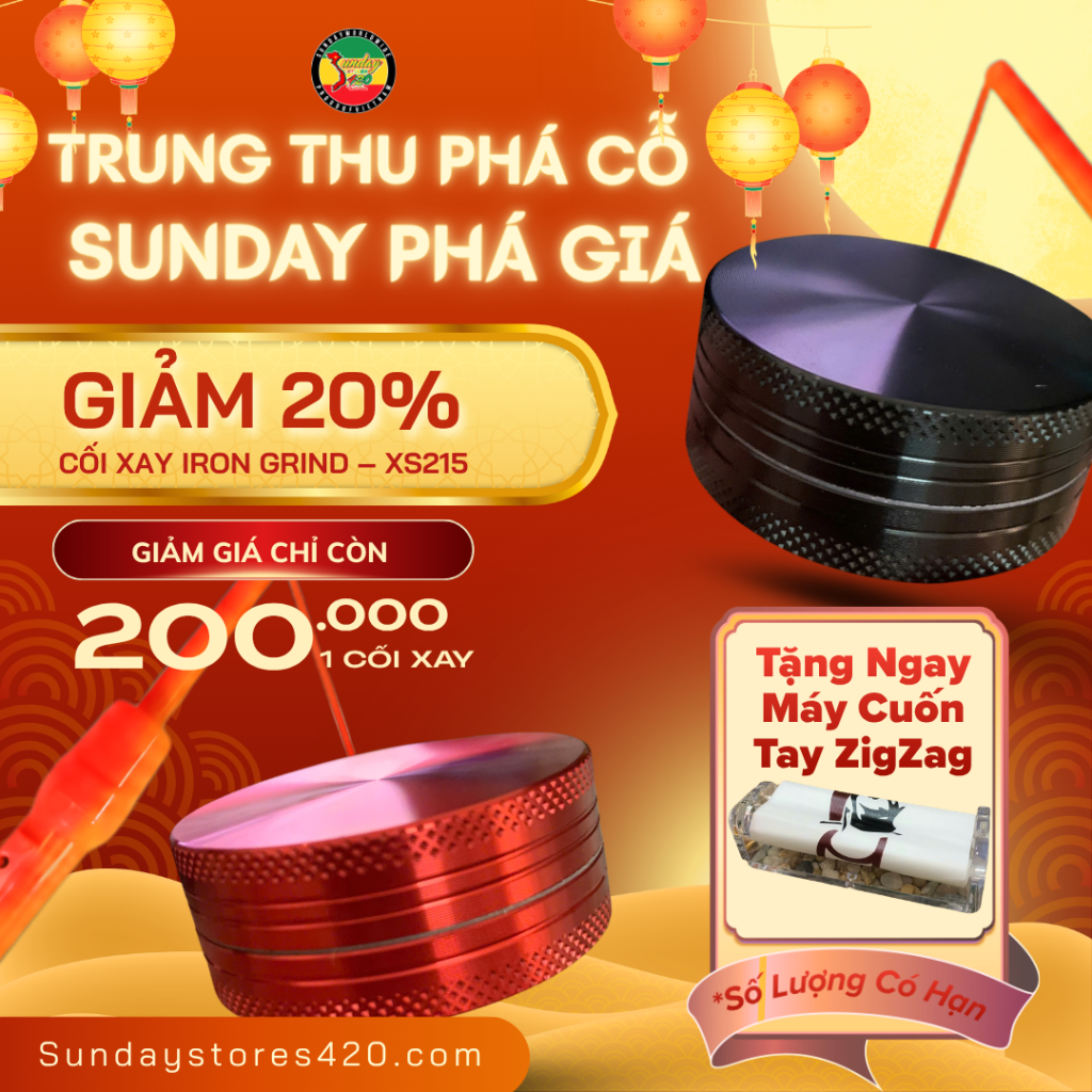 242 - Combo Rước Trăng Đêm Trung Thu 2026: Trọn Bộ Phụ Kiện Cực Hot Từ 153K | Sunday Stores